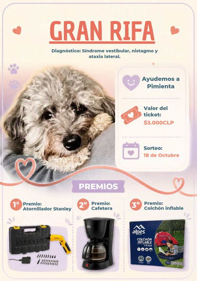 Pimienta