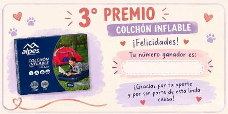 COLCHON INFLABLE